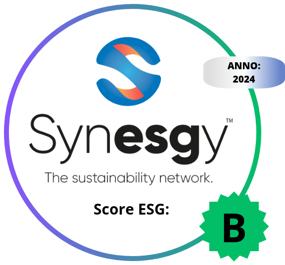 Synesgy